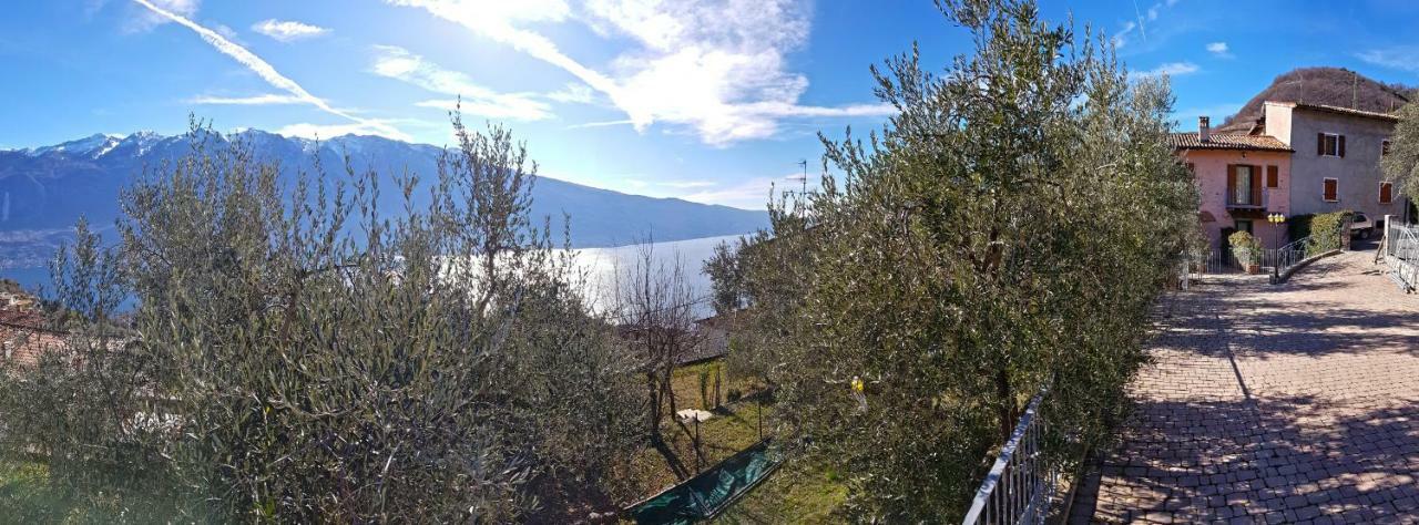 Ulivi Sul Garda Garden By Gardadomusmea Apartment Tremosine Ngoại thất bức ảnh